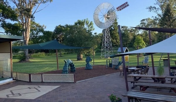 Bearded Dragon Hotel Playground